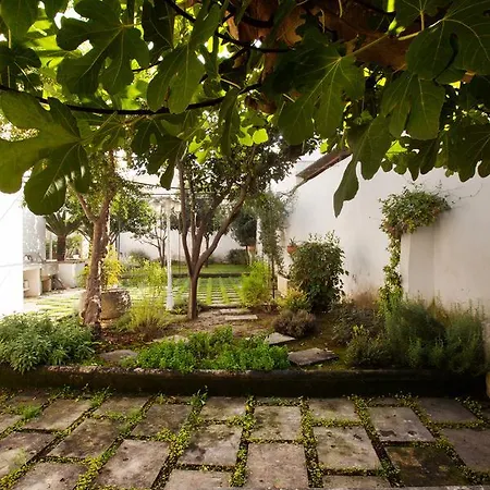 La Naca Della Taranta Галатина